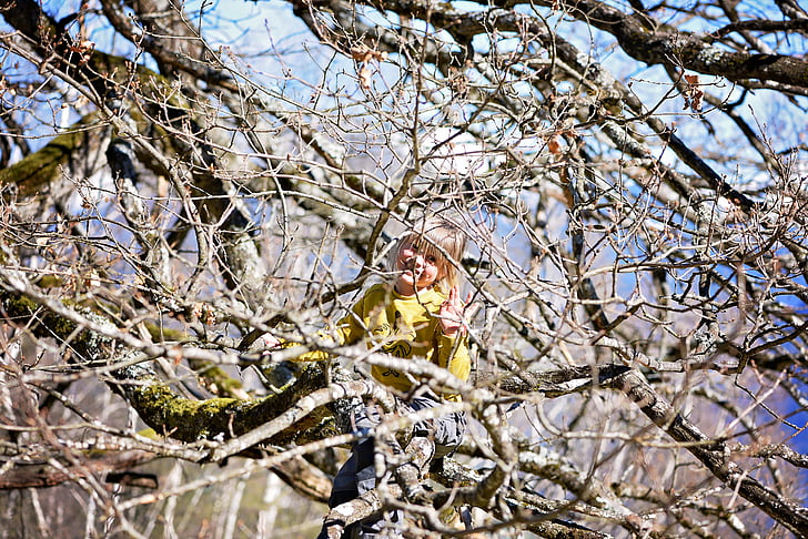child, girl, tree, bare tree, spring, climbing tree, climb