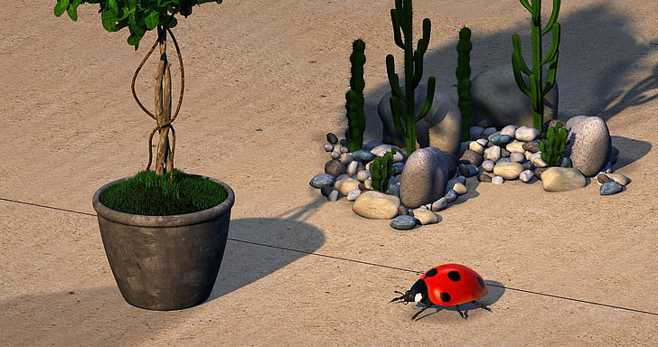 beetle, plant, cactus, garden, stones, mosaic, 3d