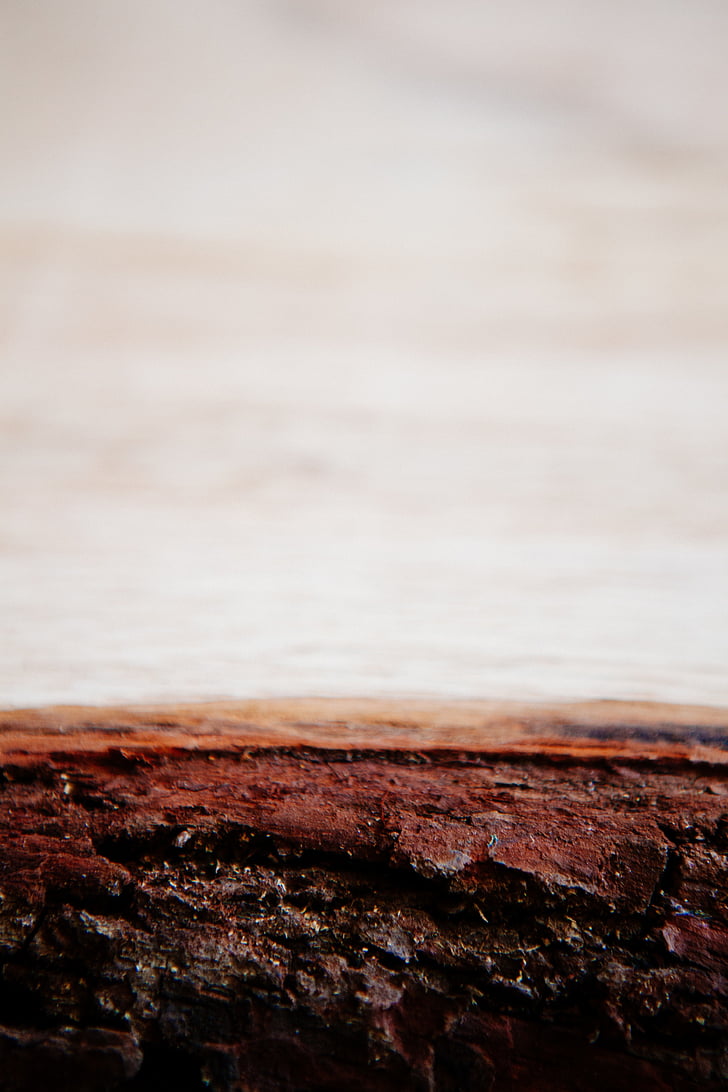 close, photography, brown, soil, beach, wood, bark