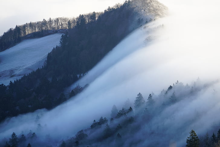 мъгла, nebellandschaft, вълна на мъгла, belchenflue, challhöchi, море от мъгла, Юра