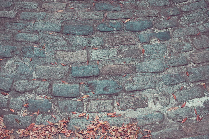 dried leaves, floor, pavement, stone, brick, backgrounds, pattern