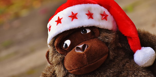 christmas, santa hat, stuffed animal, soft toy, monkey, gorilla, santa Claus
