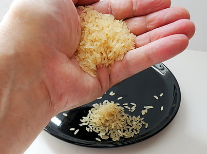 punhado de arroz, arroz, tigela de arroz, Ásia, comida, prato de arroz, comer