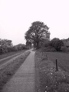 Agricultural nutzweg, beiter, Achterhoek, Holland