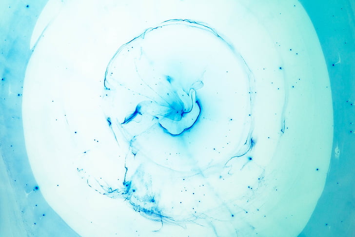blue, beauty, close-up, no people, nature