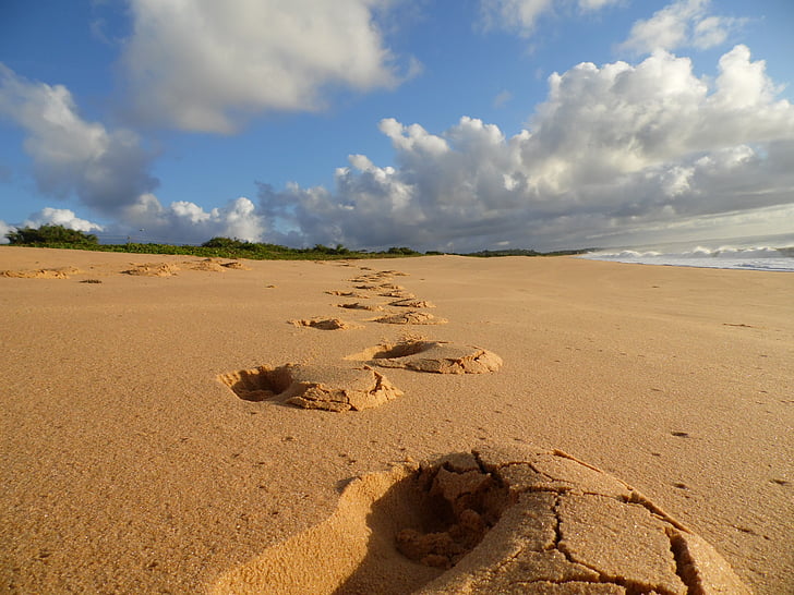 pláž, Beira mar, březen, kroky, obloha, písek