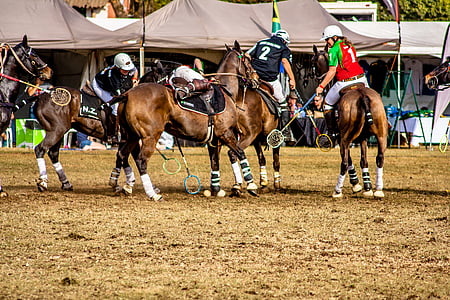 Αθλητισμός, Polo cross, άλογο, Polo, ζώο, ανταγωνισμού, Καβαλάρη