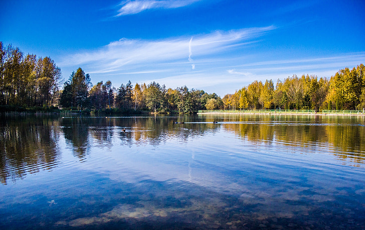 lake, trees, reflection, water, landscape, nature, sky