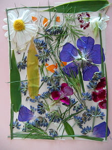 εικόνα λουλουδιών, τέχνη, ditzy, λουλούδια, πολύχρωμο, διακοσμητικά, διακόσμηση