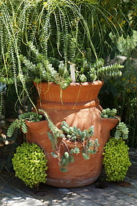 pot, plants, green, gardening, nature, spring, garden