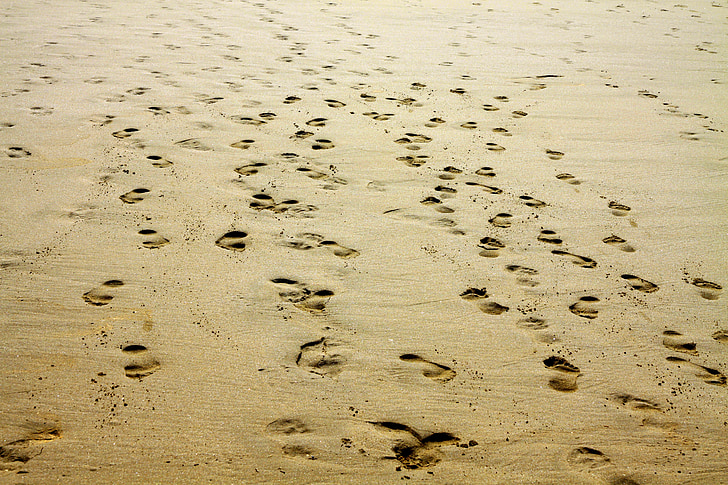 sable, empreinte de pas, plage, nature, pied, mer, en plein air