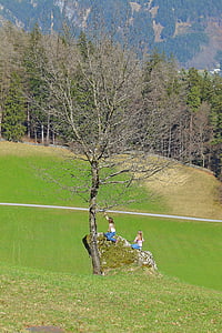 peisaj, copac, raportat, natura, afară, Piatra, copii