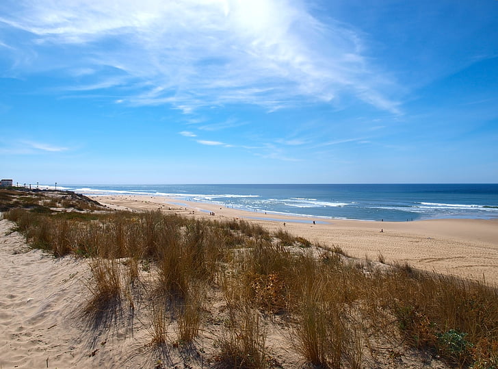 platja, dunes, oceà, al costat del mar, Mar, costat, riba