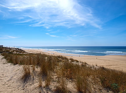 beach, dunes, ocean, seaside, sea, side, shore