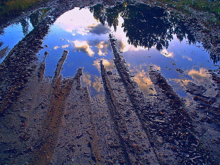 dimension, mud, reflection, tree, no people, nature, water