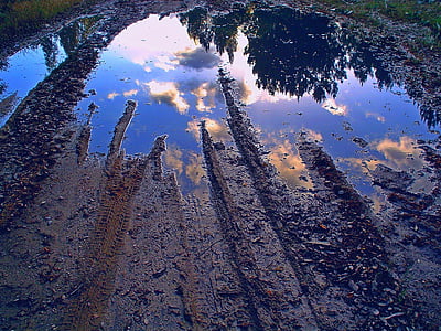dimension, lera, reflektion, träd, inga människor, naturen, vatten