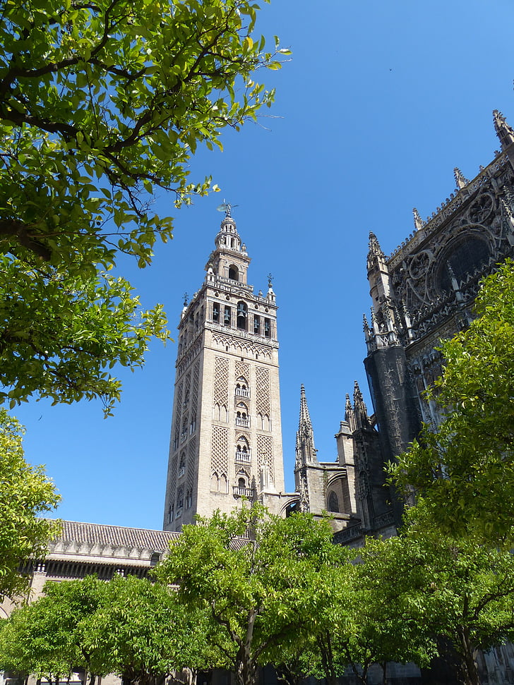 Katedrála, La giralda, Plaza virgen de los reyes, Sevilla, Andalusie