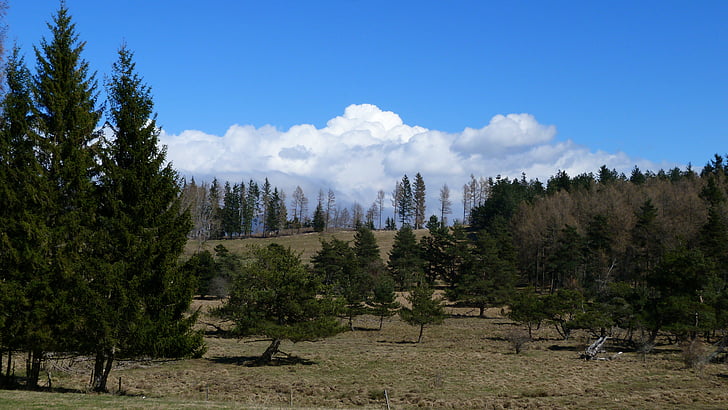landscape, nature, mountain, trees, forest, alps, sky