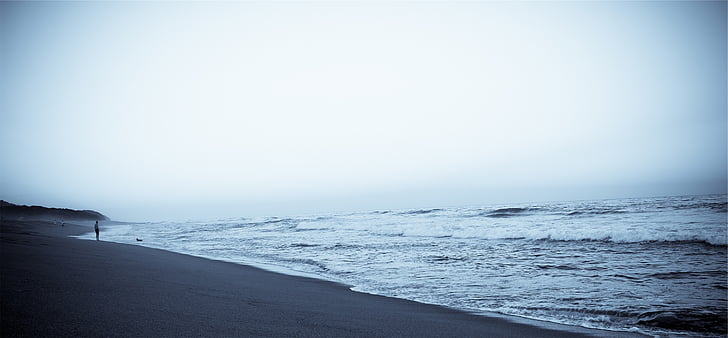 fisheye, objectif, photographie, bord de mer, plage, sable, rive