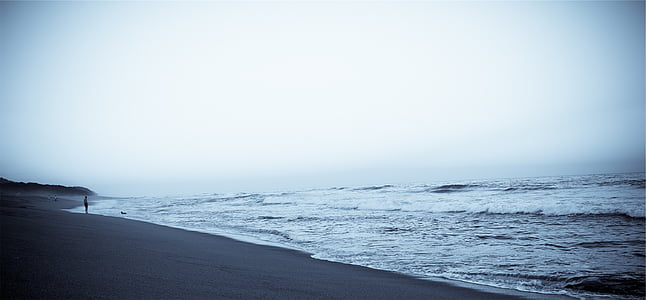 fisheye, φακός, φωτογραφία, αιγιαλού, παραλία, Άμμος, Ακτή
