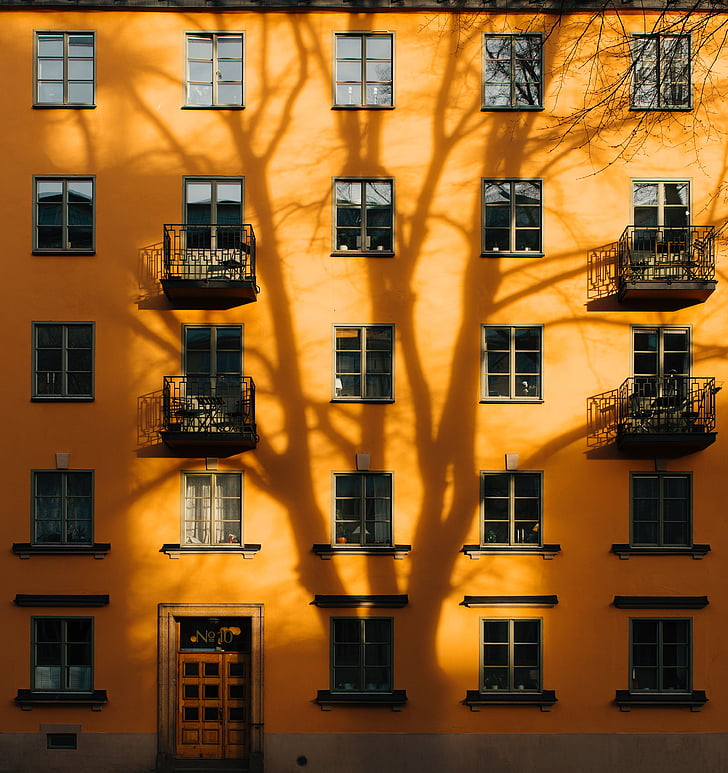 architecture, building, infrastructure, design, facade, sunny, tree