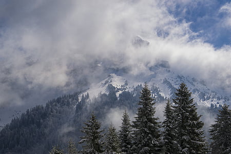 Mountain, pilvi, lumi, kuusen, taivas