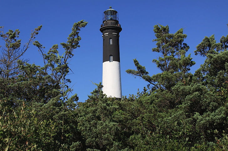 lighthouse, tower, nautical, navigation, guidance, trees, sea