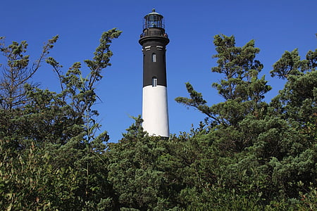 lighthouse, tower, nautical, navigation, guidance, trees, sea