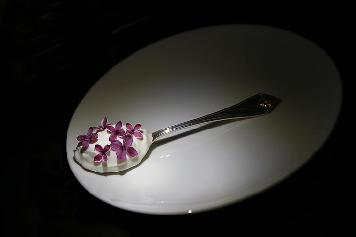 tējkarote, balta, plate, baltā plāksne, jogurts, ziedi, purpurkrāsas ziediem