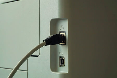 reţea, imprimantă de reţea, conexiune, cablu, LAN, conector de reţea, plug