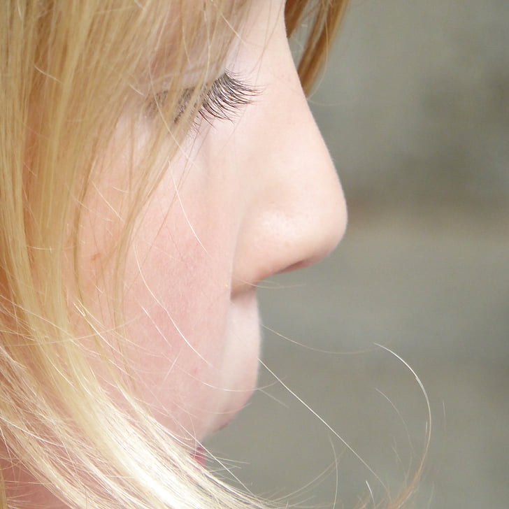 viso, bambino, ragazza, biondo, profilo