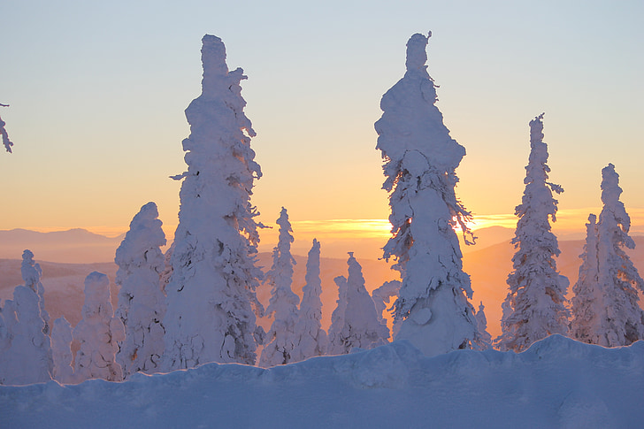 solnedgang, isen, Alaska, trær, snødekte, Dalton highway, frosset