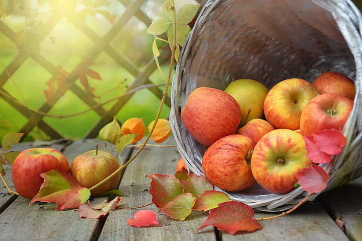 obuolių, rudenį, lapų, krepšys, Natiurmortas, Gamta, derliaus