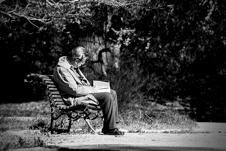 solo, lecteur, vieux, Parc, vieux, assis dans le parc, Forest, nature