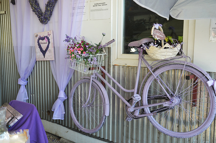 lavender, bike, purple