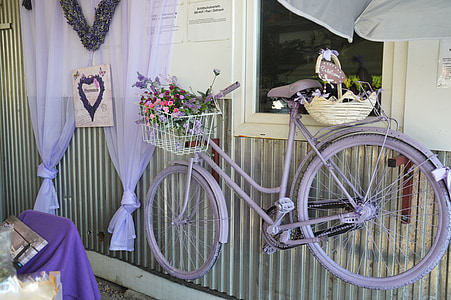 Лаванда, велосипед, фиолетовый