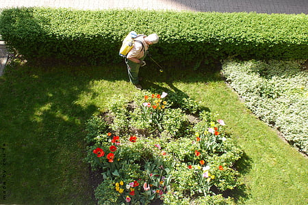 zahradník, zahrada, zahradnictví