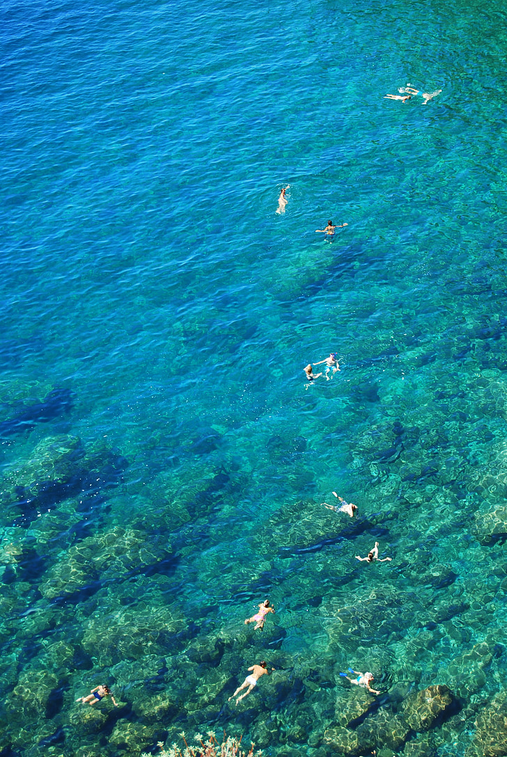 bathers, water, transparent, clear, summer, holiday, hot