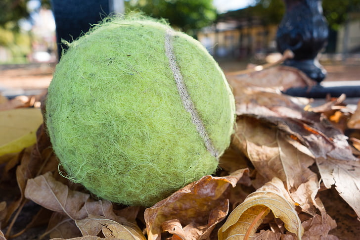 tennisboll, bollen, tennis, hösten