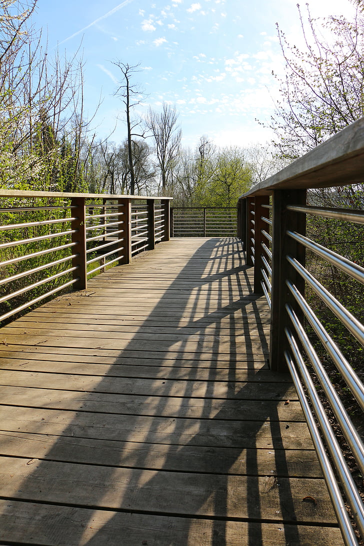 catwalk, nature reserve, shadow, railing