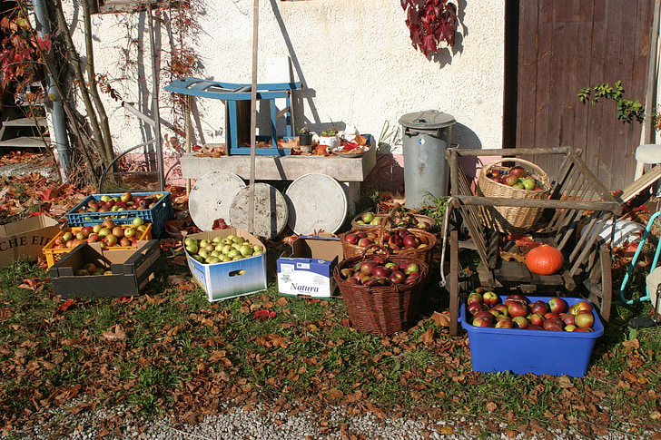 ovoce, Ovocný sad, Jablko, hrušky, ulice vendingu