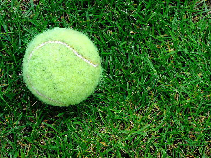 тенісний м'яч, трава, відкритий, сад, грати