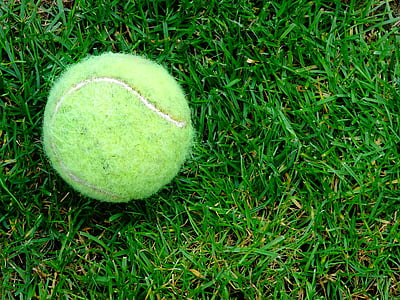 топка за тенис, трева, Открит, Градина, игра