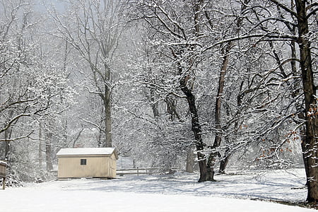 ziemas, sniega, auksti, sezonas, salna, ainava, sniegputenī