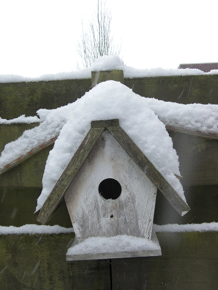 Birdhouse, neu, l'hivern, fred, cobert de neu, blanc, paisatge de neu