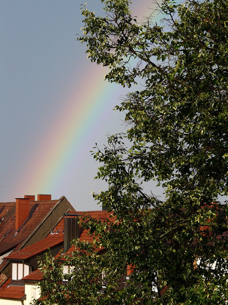 Rainbow, City, puu, taivas, väri, sateenkaaren värit, Sää