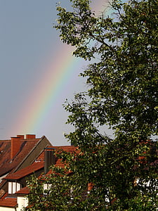 rainbow, city, tree, sky, color, rainbow colors, weather