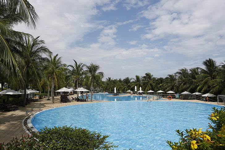 balneari de sol, piscina, Vietnam, paisatge, Palmera, arbre, complex turístic