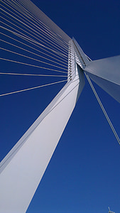 Rotterdam, Kuğu, Erasmus Köprüsü, Hava