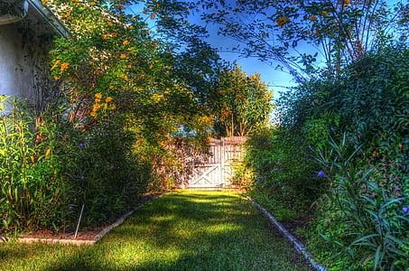 garden, nature, gate, wooden gate, flowers, blooms, hdr